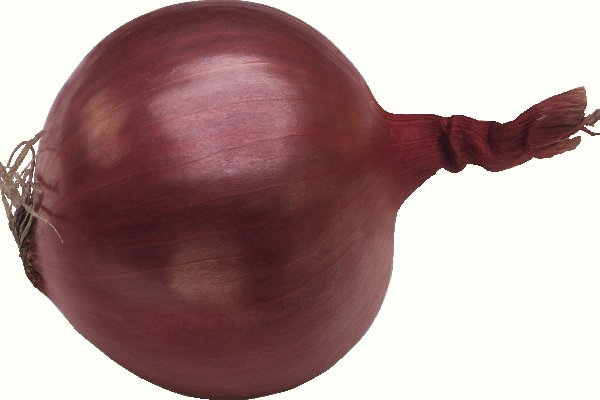 Kraken onion вход