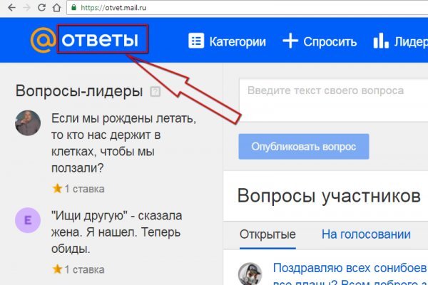 Kraken найдется все