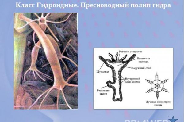 Кракен 2kraken biz