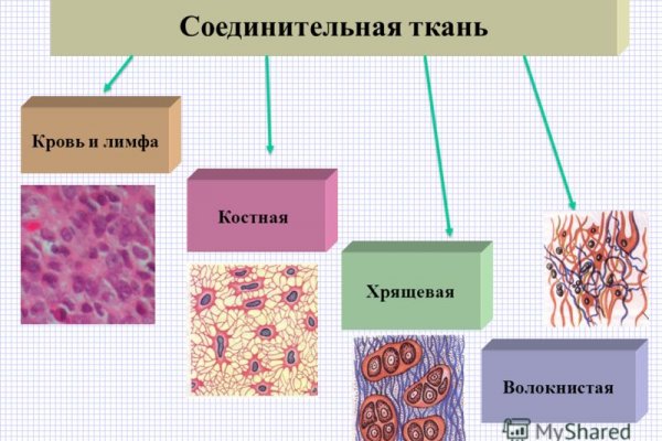 Ссылки даркнет